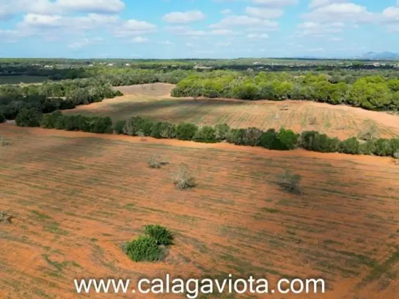 venta Terreno en Campos, Balears (Illes) (VQJ-1067)- Globaliza