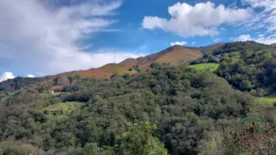 Casa de Piedra en Argayadas para Rehabilitar