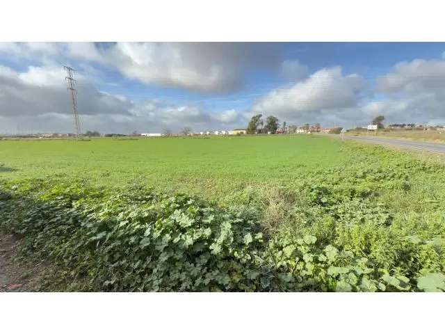 Terreno Industrial Gibraleon Huelva