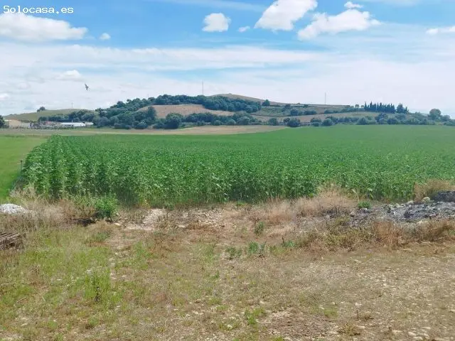 Finca Rustica Jerez de la Frontera 45 hectareas
