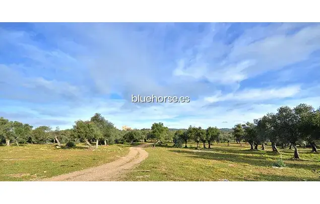 Alquiler Apartamento 2 Dormitorios 90m² Almodóvar del Río