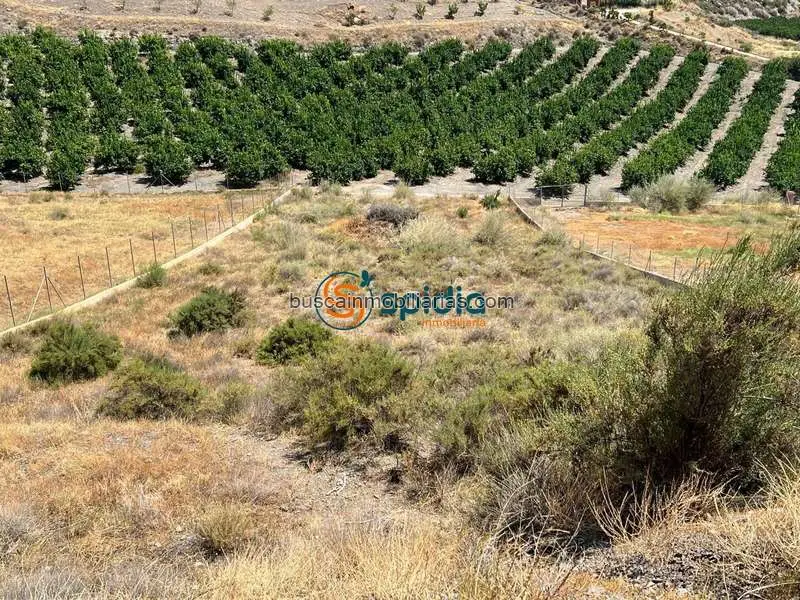 Parcela Rustica en Venta Aguilas - Terreno Regadio con Vistas al Mar