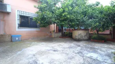 Casa en Venta Ronda Este Una Planta Jardin 3 Dormitorios