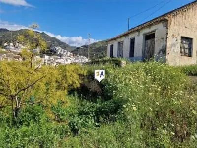 Finca con 740 Mangos y 1800 Aguacates Productiva cerca de Malaga