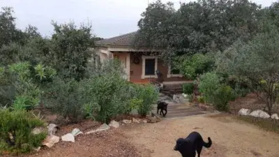 Chalet en Venta Montijo con Olivar