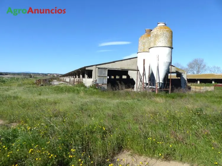 Finca Ganadera 163 Hectareas Naves Girona