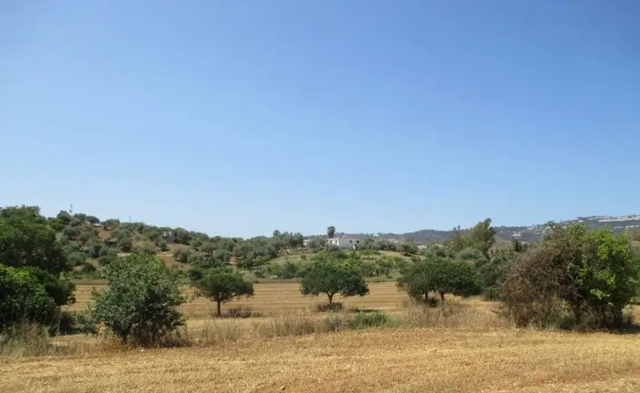 Finca 7 Dormitorios Mijas Costa 11473m2
