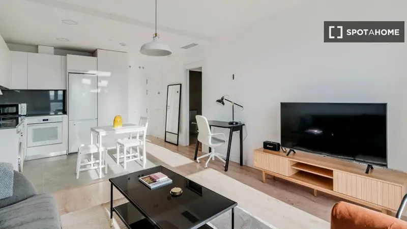 Alquiler Piso 1 Dormitorio Málaga Amueblado
