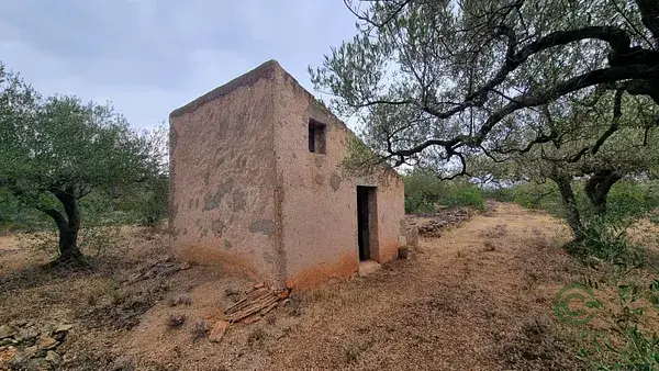 Finca Rustica en L Ametlla de Mar para Reformar 14068m2
