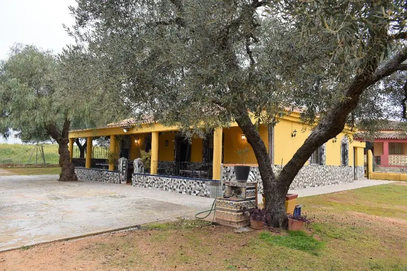 Venta Finca Rustica 4 Dormitorios Gibralon