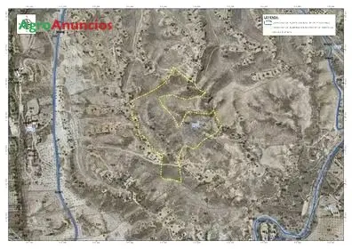 Venta  de Finca de pastos y olivos en Almería