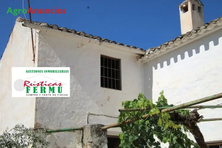 Venta  de Finca de olivos hojiblanca picual y gordal en Córdoba