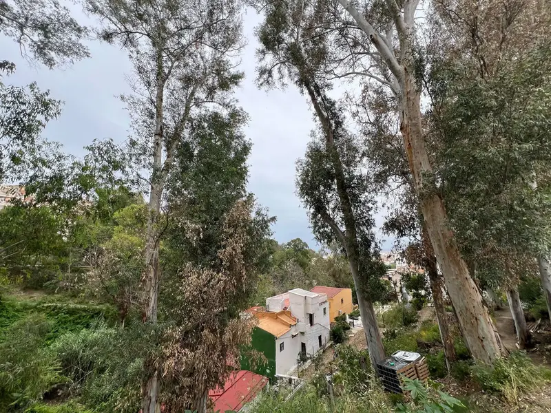 Terreno con Casa en Venta Los Antonio Malaga