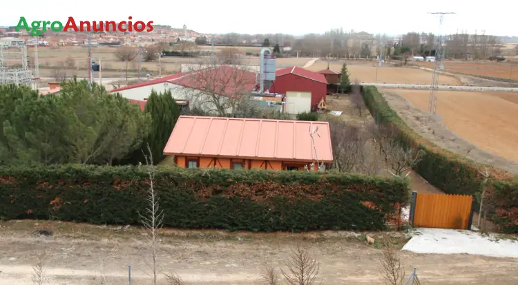 Venta  de Finca con naves industriales y chalet en Burgos