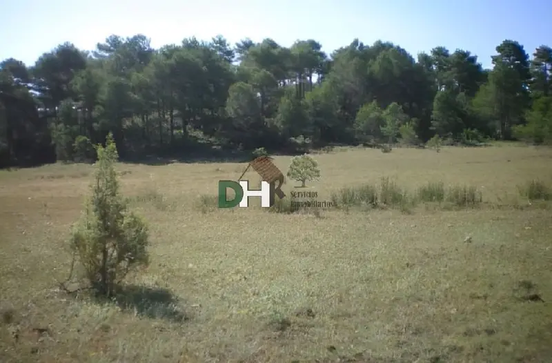 Finca Rustica 1300 Hectareas Cuenca Venta
