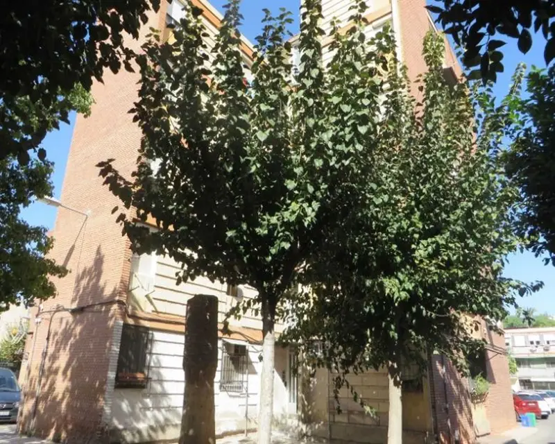 Piso en venta en Murcia PAZ 3 habitaciones 49m2