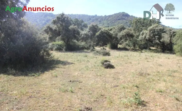 Venta  de Finca de recreo con encinas y robles en Cáceres