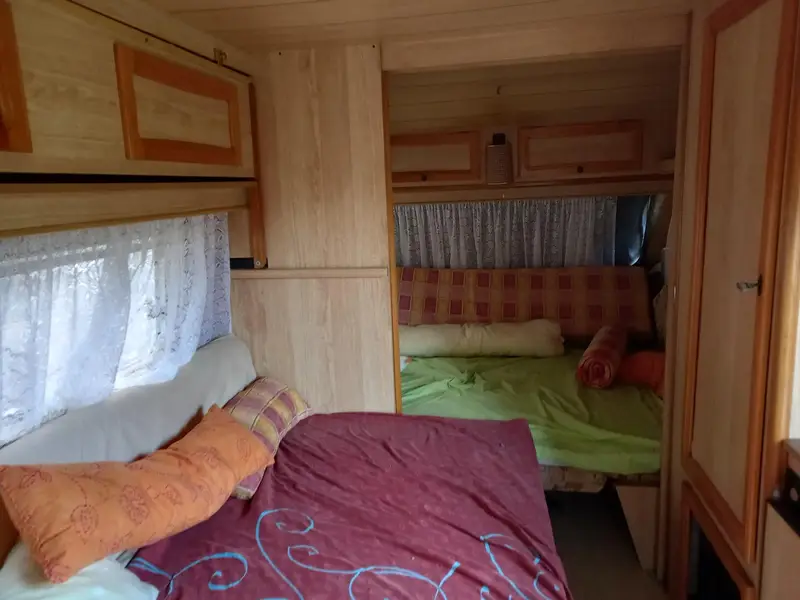 Venta Terreno Asco 2 Hectareas Olivos Riego Caravana