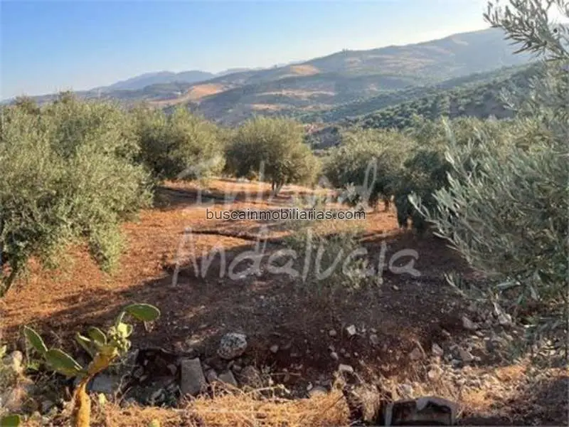 Parcelas Rusticas en Venta Periana Inversión Agricola