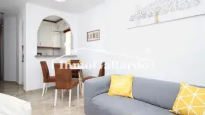 Alquiler Piso 1 Linea Playa Rincon Victoria Septiembre 2025 Junio 2026