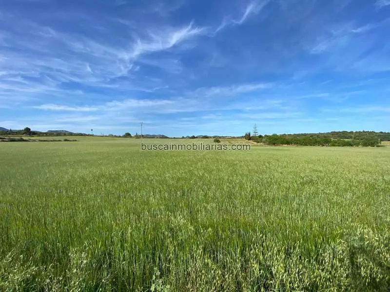 Parcela Rustica en Venta Manacor Cerca Via Verde