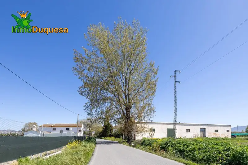 Casa Cortijo Urbana en Granada con Finca y Naves Agrícolas