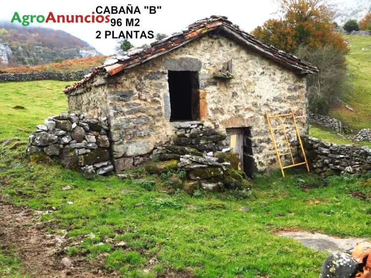 Venta  de Finca de recreo con cabañas independientes en Cantabria