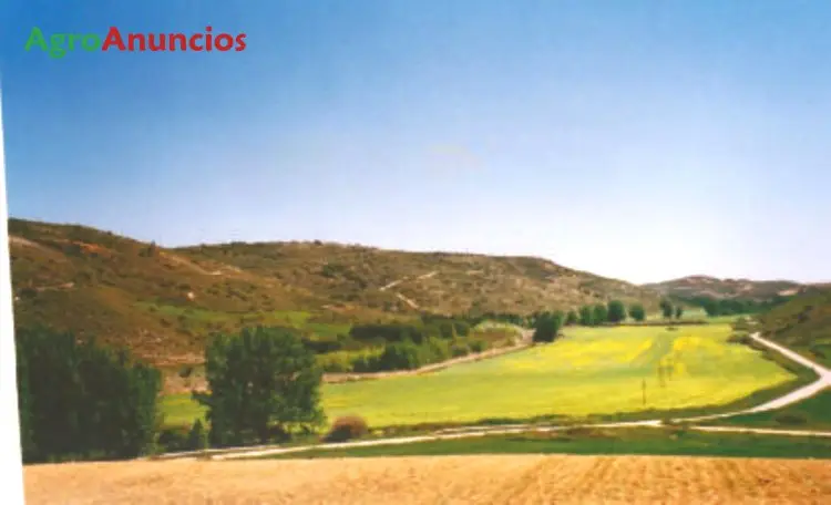 Venta  de Finca de recreo en Madrid