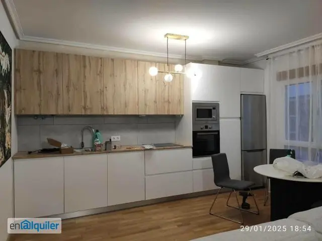 Alquiler Piso Amueblado Centro Ciudad 50m2 2 Dormitorios