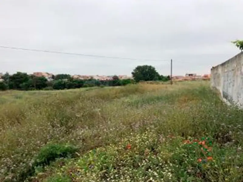 venta Terreno en Zamora, Zamora Provincia (ALI0000116564)- Globaliza