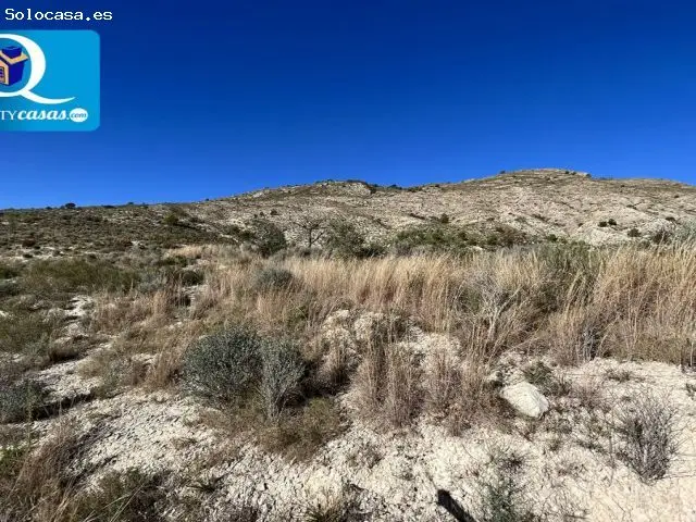 Parcela Rustica en Venta Orcheta Alicante 134000m2