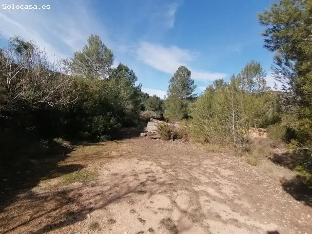 Finca Rustica Borriol 1241m2 Recreo Cultivo