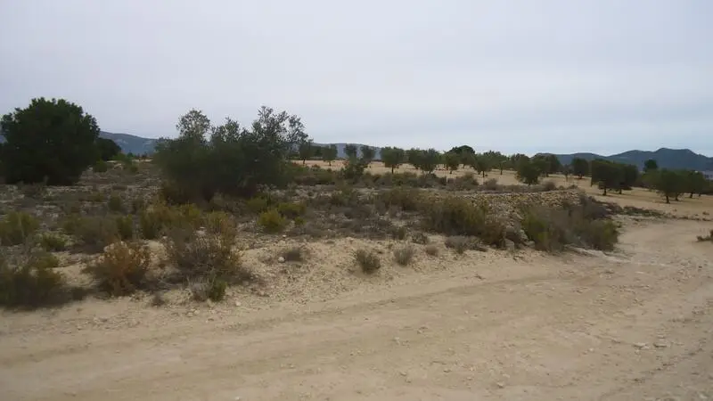 Parcela Rustica en Pinoso Alicante 14778m2 Vistas a la Montana