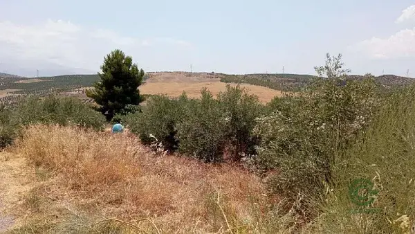 Granada, CALICASAS, 0.2545ha