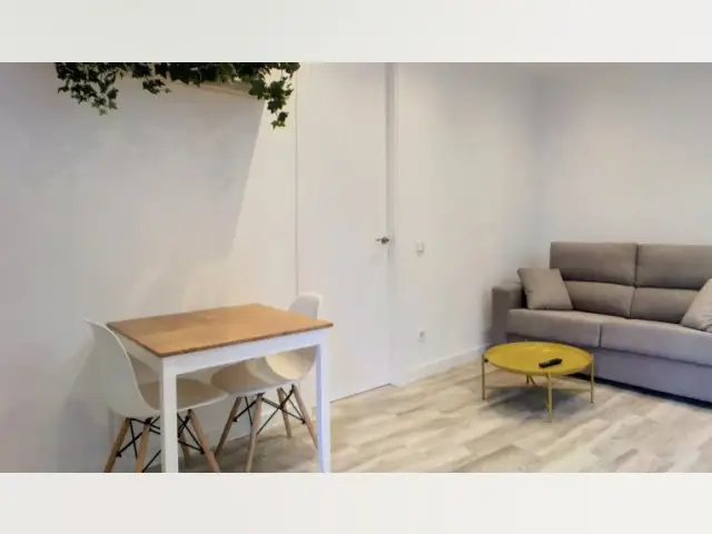 Apartamento Centro Madrid 1 Dormitorio Renovado