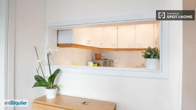 Apartamento 1 Dormitorio Salamanca Madrid