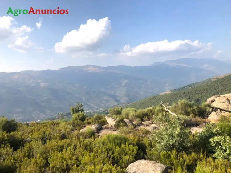 Venta Finca Monte Casa Caceres Edificable Casa Rural