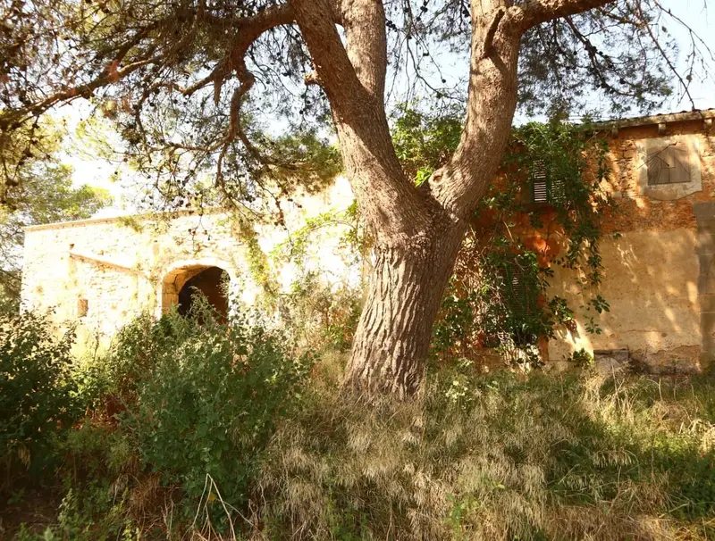 Finca Rustica en Venta Mallorca 217089m2 Tres Casas Proyecto 1350m2