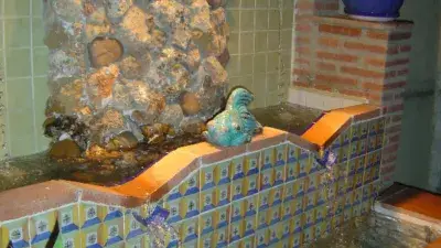 Chalet en Condequinto 540m2 parcela 220m2 vivienda