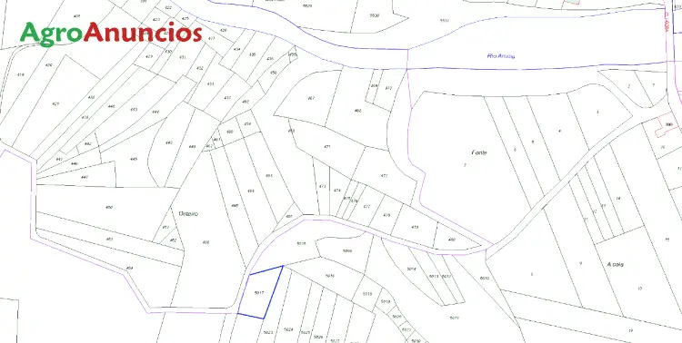 Venta  de Terreno de secano en Ourense