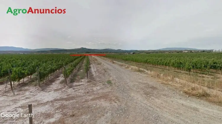 Venta  de Finca de labor regadío en La Rioja