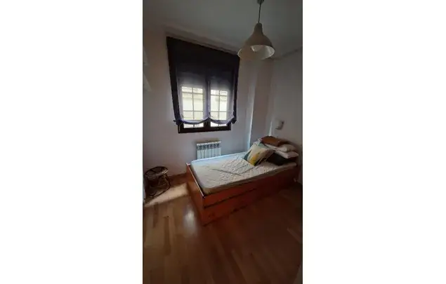 Apartamento 2 dormitorios 80m2 León Amueblado