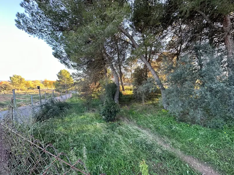 Venta Terreno en St Jaume Sesoliveres Igualada
