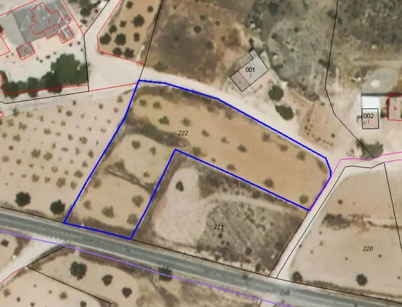 Almendro de 3350m² en Jumilla - Inversión Agrícola