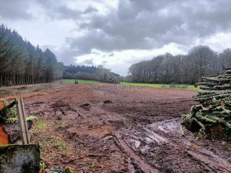 Finca Agricola en Venta Outeiro de Rei Lugo