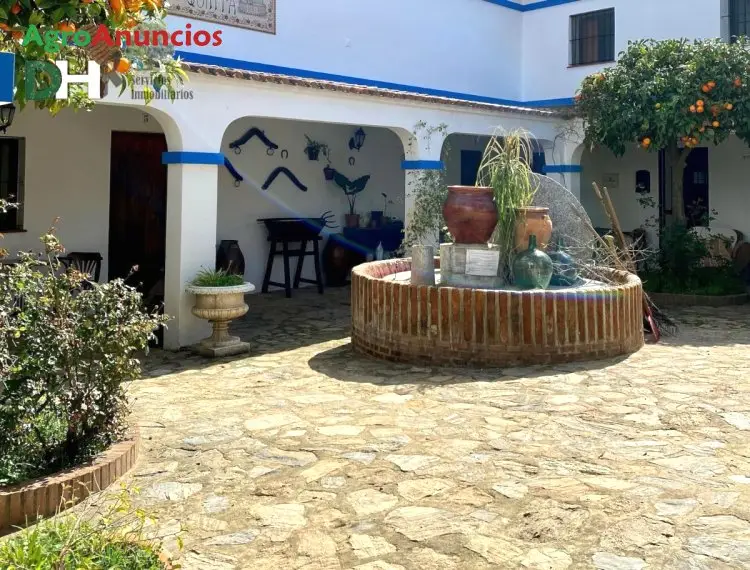 Venta  de Casa rural con 7 apartamentos en Sevilla