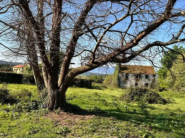 Casa de Piedra en Finca Rural para Reformar