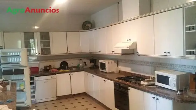 Venta  de Finca de regadío con chalet en Badajoz