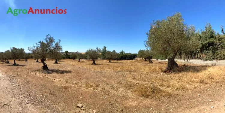 Venta  de Terreno de secano en Badajoz