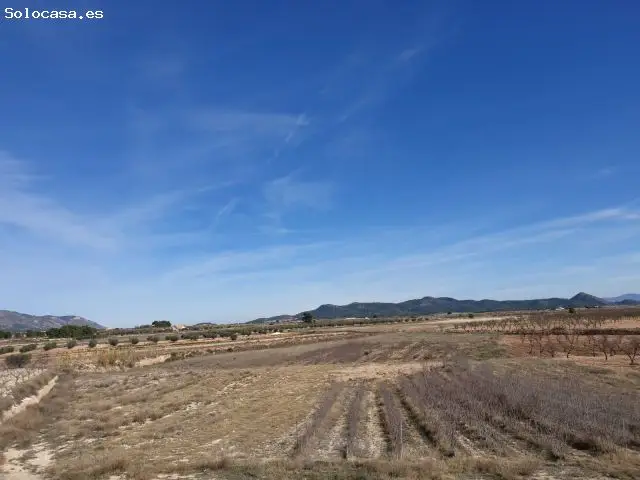Parcela en Venta Pinoso Alicante